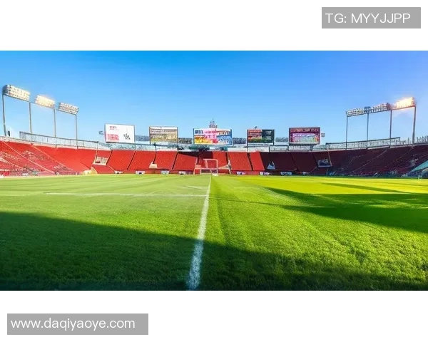 足球巨星齐聚盛大晚宴畅谈绿茵场内外精彩瞬间